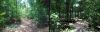 Crysis - 9